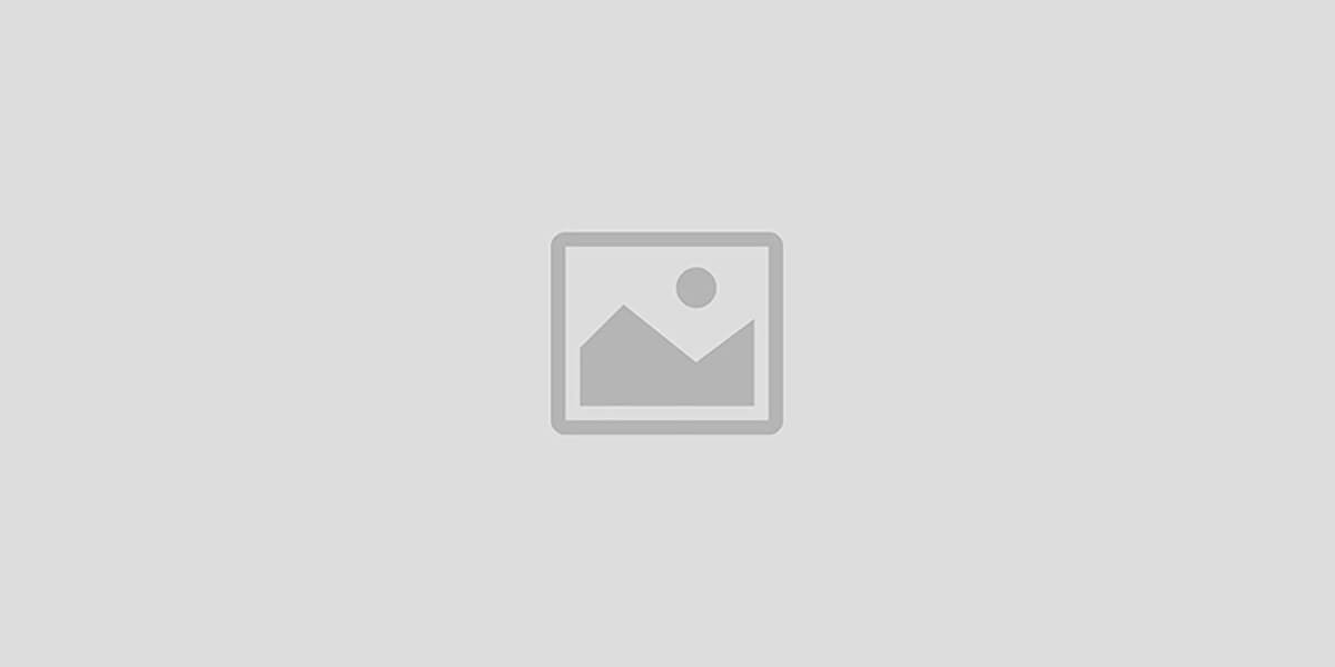 historeiq.com promo