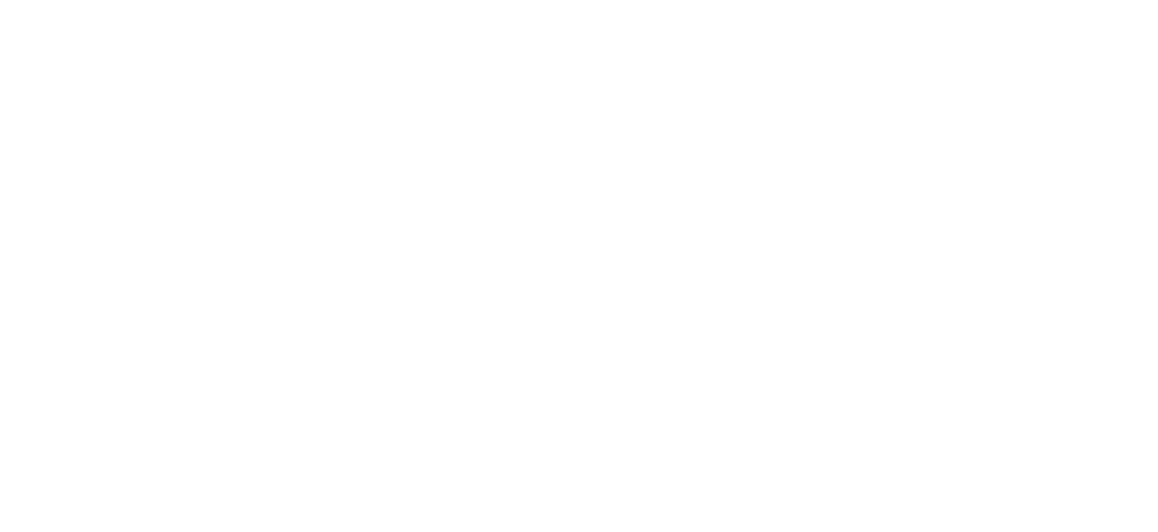 Hi Store
